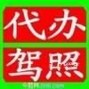 路政機動車駕駛員培訓基地 專業駕駛技能與安全意識的搖籃